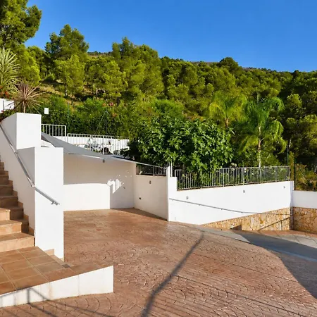 Alegria By Nras El Albir