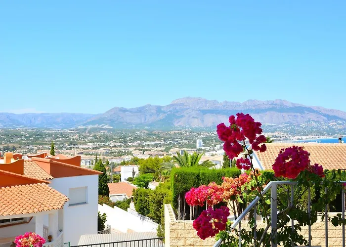 Alegria By Nras El Albir